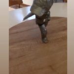 Kid Koala Instagram - Floor Kids on the Turning Table