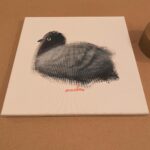 Kid Koala Instagram - Pigeon Apt. 878 is heading to its new home! Thank you for your order! original artwork, books, music and apparel at kidkoala.com/shop 25% off storewide discount for all @patreon new fun tier patrons!