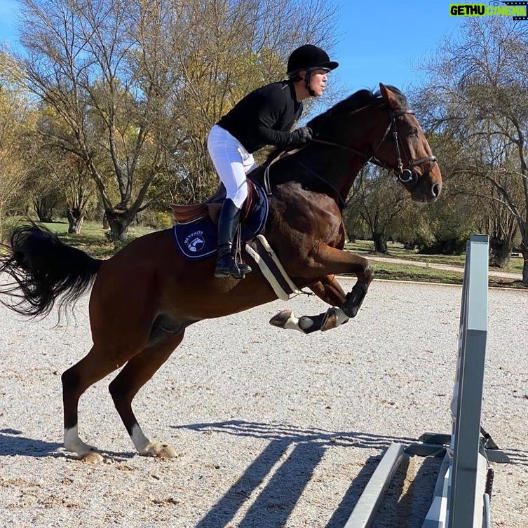 Kike Sarasola Instagram - Después de 14 años sin montar a caballo me han convencido para volver a saltar. Competiré en el Campeonato de Veteranos del @realclubpineda en Sevilla. ¡Qué emocionante volver a recordar esta etapa de mi vida! 🐎🧡 // After 14 years without riding a horse I have been convinced to compete again at the Spanish Championship for veterans at the Club Pineda in Seville. Incredibly excited to remember those moments of competing and riding. 🐎🧡 #hípica #deporte #horseriding #sport Toledo, Spain