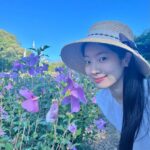 Kim Da-hyun Instagram - 무궁화 꽃이 피었습니다🌸