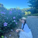 Kim Da-hyun Instagram - 무궁화 꽃이 피었습니다🌸