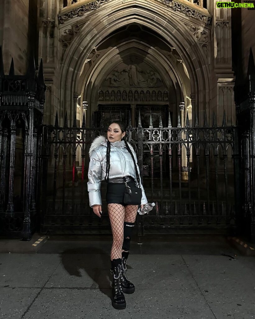 Kim Eun-young Instagram - Cheetah in Newyork New York City