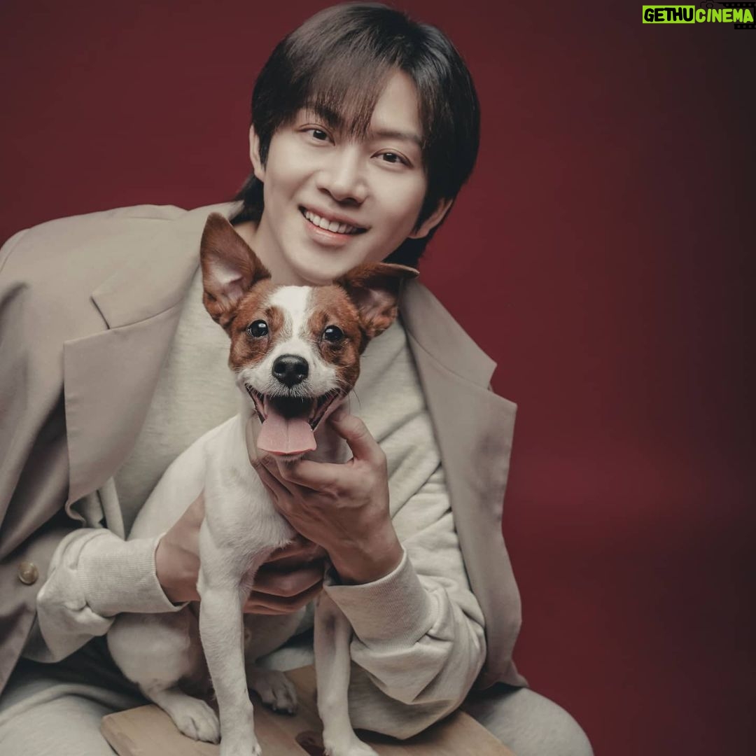 Kim Hee-chul Instagram - 🍒🐶 . . #헤이마리 #김희철 #김기복