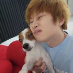 Kim Hee-chul Instagram - 데뷔한지 18년이 됐다고 합니다🎊 시간 너무나도 빠릅니다....🥺 고등학생 때부터 전단지 돌리기, 공장, 호프집, 수영장, 고깃집.. 많은 알바를 하다가 스무살 겨울, SM에 온게 생각나네요 늘 즐겁고 유쾌하게 살았지만 연예인이 된 후로는 더 행복하게 살아왔습니다 '이래도 되나' 싶을 정도의 많은 사랑을 받으며 말이죠 물론, 그 사랑. 당연하다 생각한적 없다는건 알지?🤗 앞으로도 그 사랑들 생각해서 더 잘 살겠습니다😍 "초심을 찾겠습니다!" 란 말은 빼도록 하겠어요😏 전 초심 찾으면....🙄😮‍💨😕😰🫠 '꽃잎' 처음 데뷔 했을 때 제 팬들에게 붙여준 애칭인데요.. 뜻이 아주 그냥 나르시시즘의 끝을 보여줍니다🤔 "나는 꽃이니 너희들은 언제나 함께있는 꽃잎이 되어라" 🤯🤯🤯🤯🤯🤯🤯🤯🤯🤯🤯🤯🤯🤯🤯🤯🤯🤯 20대의 김희철은 지금보다 더 제 정신이 아니었다는..🥲 암튼, 정말 고맙고 사랑한단 말을 빙빙 돌리는 중입니다 깔깔깔🤪 잘 자!!!!🙂🙃🙂🙃🙂🙃🙂🙃🙂🙃🍒💙 . . #꽃잎 #Petal