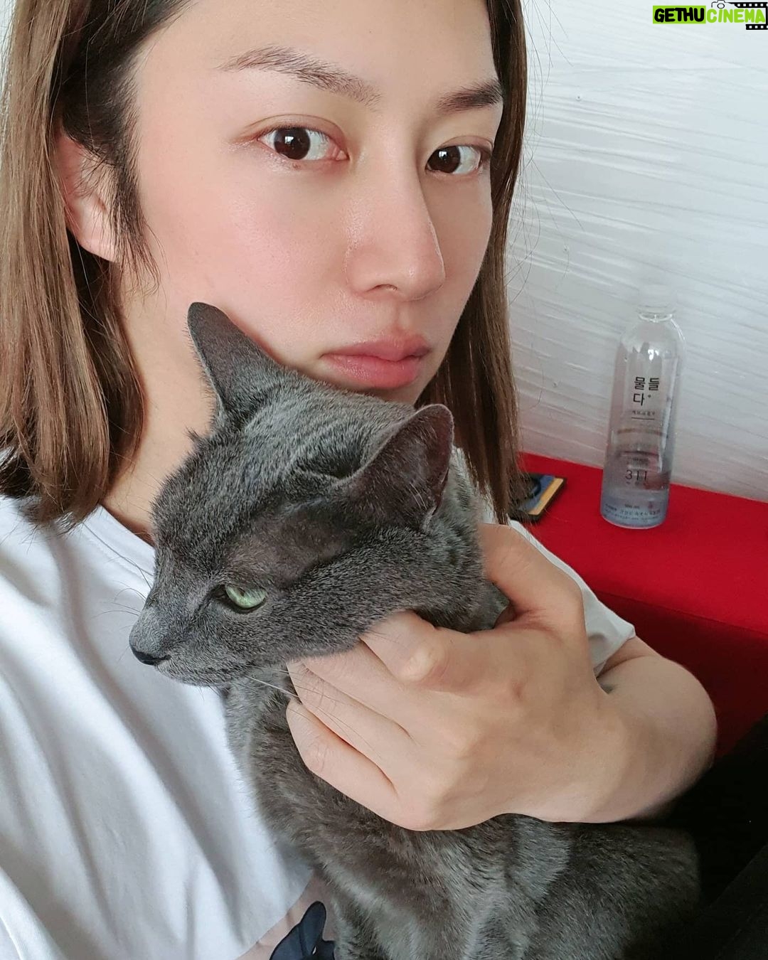 Kim Hee-chul - 468.6K Likes - 15살 희범이🐱🐈💛
.
.
#희범 #Heebum #러시안블루 #RussianBlue