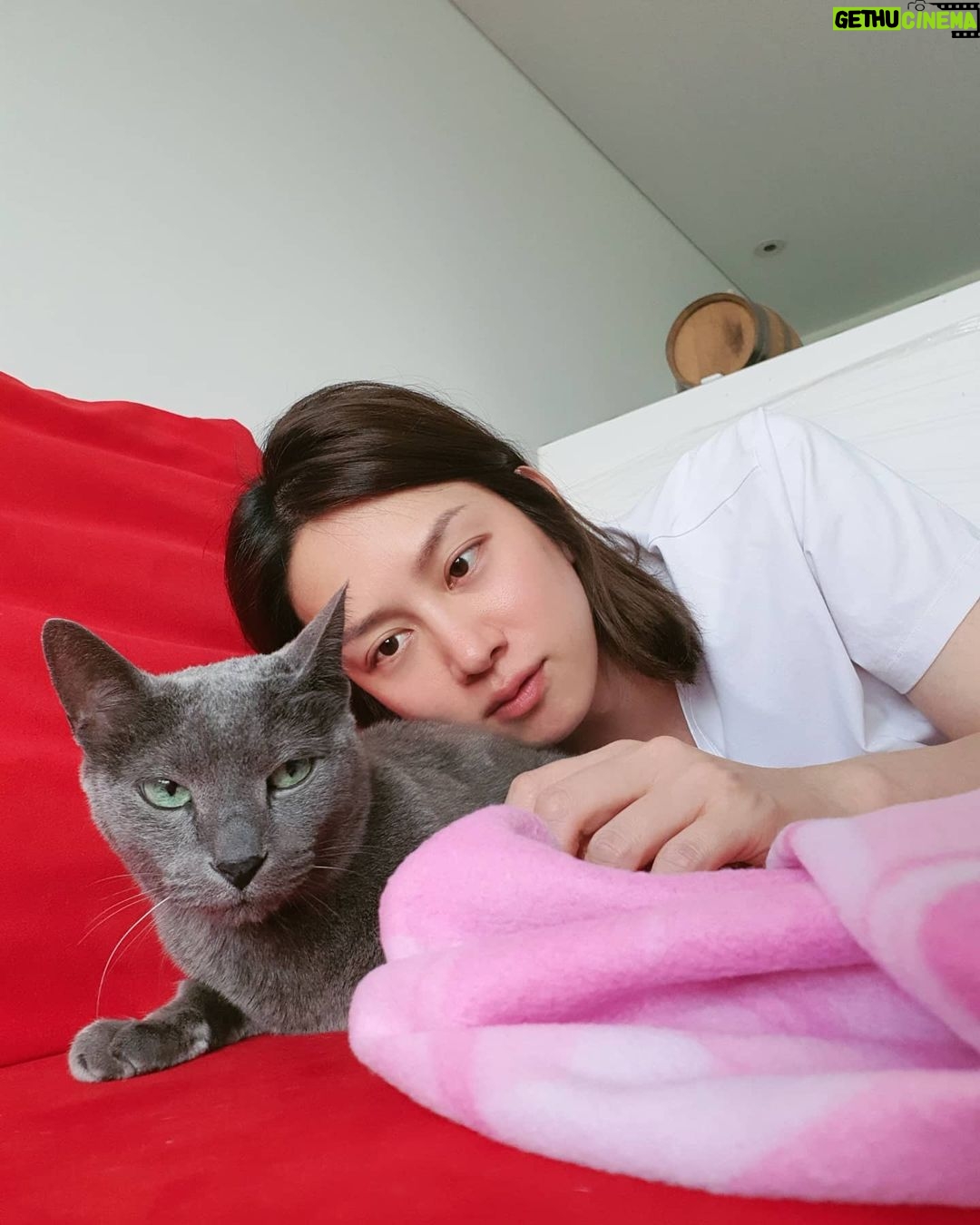 Kim Hee-chul - 468.6K Likes - 15살 희범이🐱🐈💛
.
.
#희범 #Heebum #러시안블루 #RussianBlue
