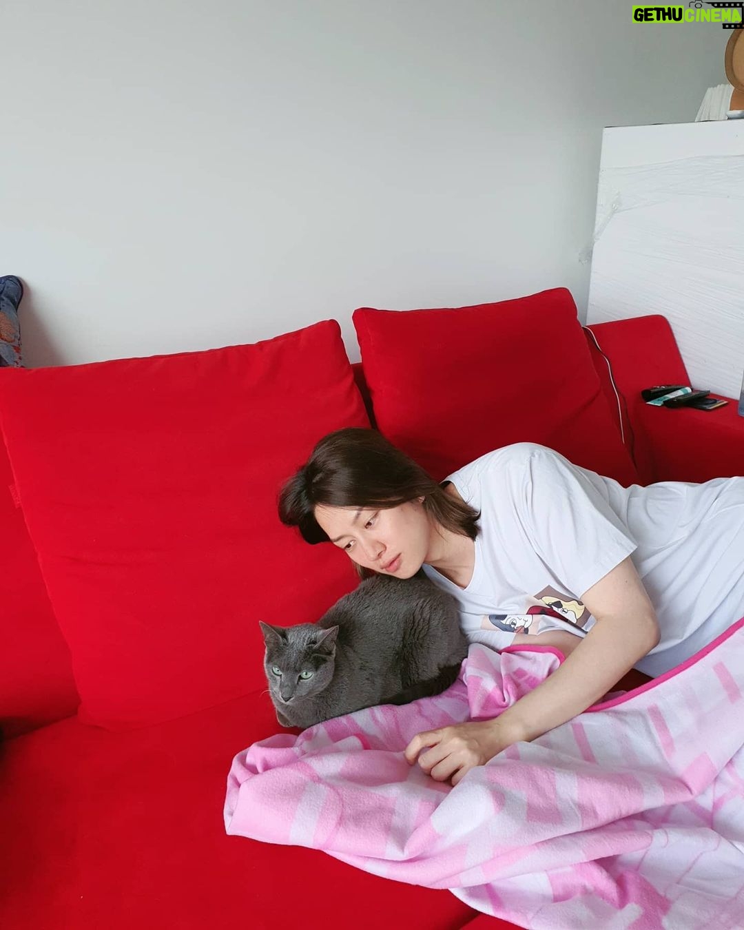 Kim Hee-chul - 468.6K Likes - 15살 희범이🐱🐈💛
.
.
#희범 #Heebum #러시안블루 #RussianBlue