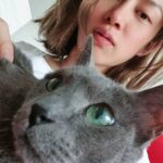 Kim Hee-chul Instagram - 15살 희범이🐱🐈💛 . . #희범 #Heebum #러시안블루 #RussianBlue