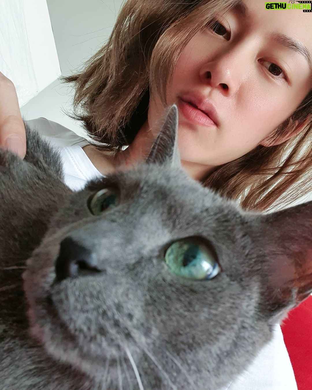 Kim Hee-chul - 468.6K Likes - 15살 희범이🐱🐈💛
.
.
#희범 #Heebum #러시안블루 #RussianBlue