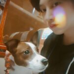 Kim Hee-chul Instagram – Untitled😏
#기복 #안나 #공수도 #금발 #부모님 #이화다방