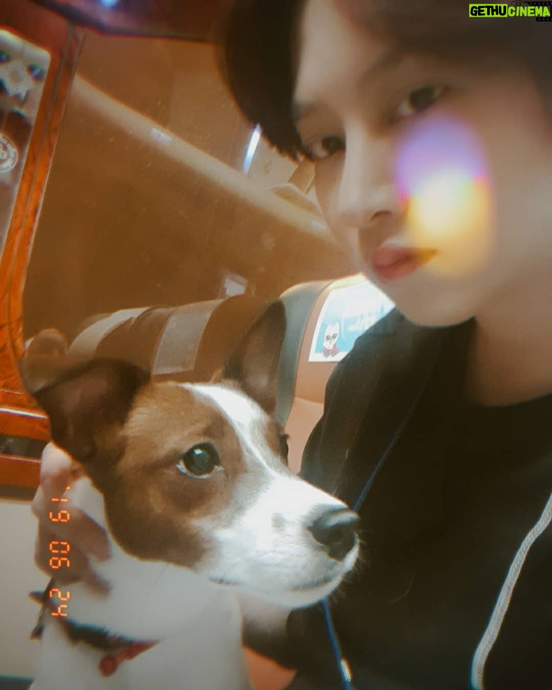 Kim Hee-chul - 571.3K Likes - Untitled😏
#기복 #안나 #공수도 #금발 #부모님 #이화다방