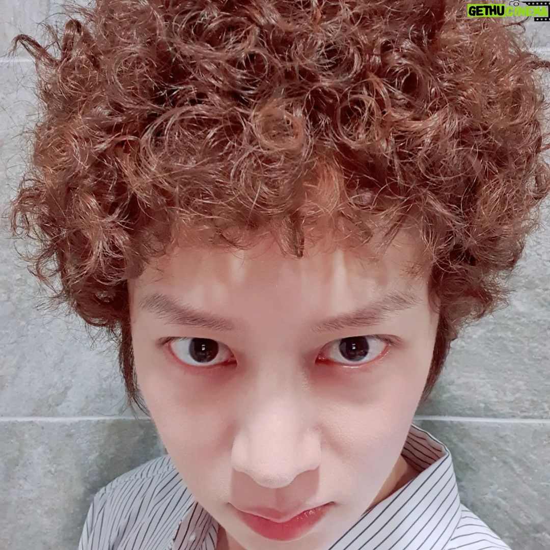 Kim Hee-chul Instagram - 데뷔한지 18년이 됐다고 합니다🎊 시간 너무나도 빠릅니다....🥺 고등학생 때부터 전단지 돌리기, 공장, 호프집, 수영장, 고깃집.. 많은 알바를 하다가 스무살 겨울, SM에 온게 생각나네요 늘 즐겁고 유쾌하게 살았지만 연예인이 된 후로는 더 행복하게 살아왔습니다 '이래도 되나' 싶을 정도의 많은 사랑을 받으며 말이죠 물론, 그 사랑. 당연하다 생각한적 없다는건 알지?🤗 앞으로도 그 사랑들 생각해서 더 잘 살겠습니다😍 "초심을 찾겠습니다!" 란 말은 빼도록 하겠어요😏 전 초심 찾으면....🙄😮💨😕😰🫠 '꽃잎' 처음 데뷔 했을 때 제 팬들에게 붙여준 애칭인데요.. 뜻이 아주 그냥 나르시시즘의 끝을 보여줍니다🤔 "나는 꽃이니 너희들은 언제나 함께있는 꽃잎이 되어라" 🤯🤯🤯🤯🤯🤯🤯🤯🤯🤯🤯🤯🤯🤯🤯🤯🤯🤯 20대의 김희철은 지금보다 더 제 정신이 아니었다는..🥲 암튼, 정말 고맙고 사랑한단 말을 빙빙 돌리는 중입니다 깔깔깔🤪 잘 자!!!!🙂🙃🙂🙃🙂🙃🙂🙃🙂🙃🍒💙 . . #꽃잎 #Petal