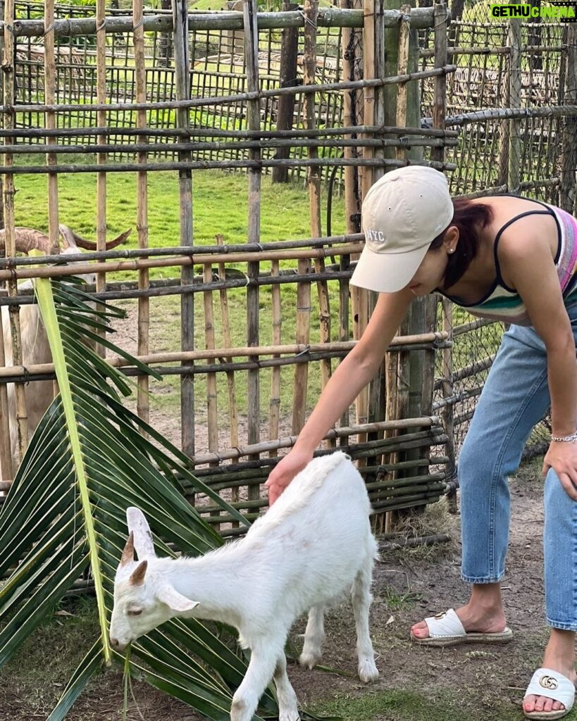 Kim Ji-min Instagram - 난..이런 소중이들이 너무좋다💕 #동물원아님#동물원가지않기#자연그대로#야생그대로