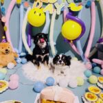 Kim Ji-min Instagram - 느낌이 생일파티 해떠욤🎂 나리 너는 왜거기 껴있니ㅋㅋ 태어나줘서 엄마에게 와줘서 너무고마워💕