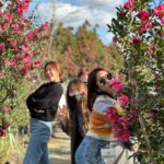 Kim Ji-min Instagram - 너무예쁜 갬성카페 발견! 정원이 너무나 예쁜! 포토스팟 너무많아 걷고 또 걷고! #제주도#드노아#Denoah#드노아까페#서귀포#제주도까페#서귀포커피숍