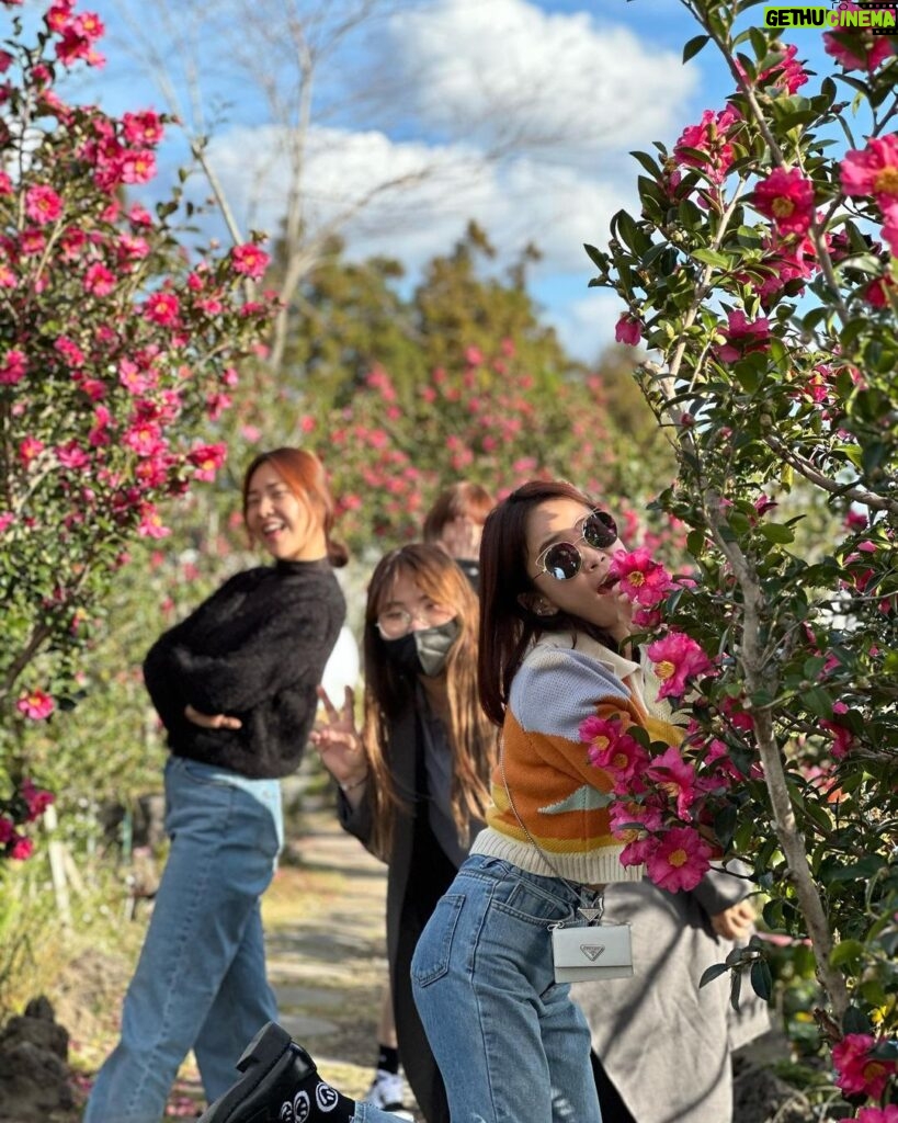 Kim Ji-min Instagram - 너무예쁜 갬성카페 발견! 정원이 너무나 예쁜! 포토스팟 너무많아 걷고 또 걷고! #제주도#드노아#Denoah#드노아까페#서귀포#제주도까페#서귀포커피숍