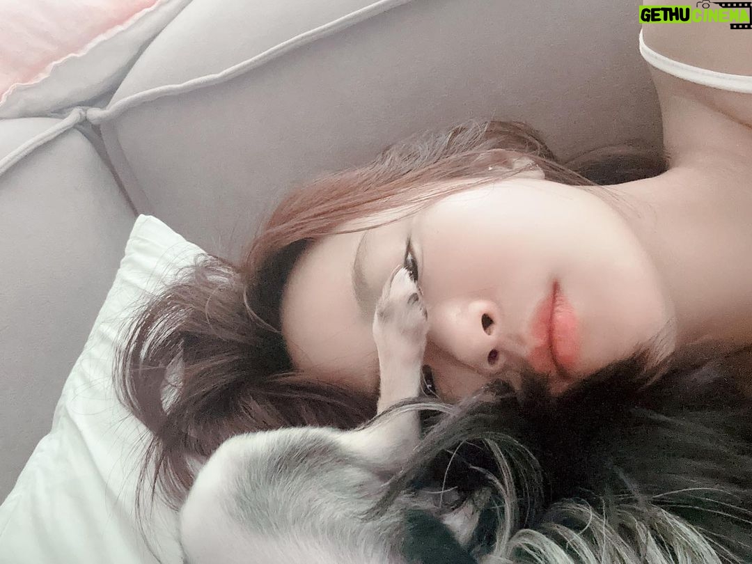Kim Ji-min Instagram - 그래 니 꼬순내 좋아하는건 맞아! 그래도 이런식은 좀