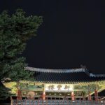 Kim Ji-sook Instagram – #수원화성문화제 많관부! 수원 화성 Hwaseong Fortress