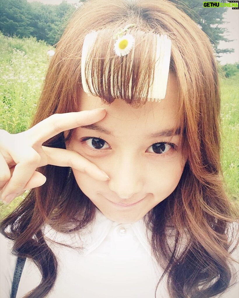 Kim Ji-won Instagram - 젤 좋아하는 사진 #계란꽃 #원래이름은개망초