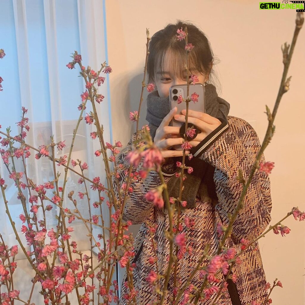 Kim Ji-won Instagram - 🌸🌸🌸