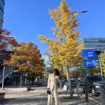 Kim Jung-eun Instagram – 단풍 예쁜 거리에서🍁🍂🌾우리 남순이 찾으러..🥹