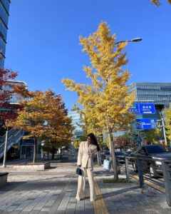 Kim Jung-eun Instagram - 단풍 예쁜 거리에서🍁🍂🌾우리 남순이 찾으러..🥹