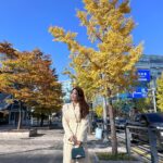 Kim Jung-eun Instagram - 단풍 예쁜 거리에서🍁🍂🌾우리 남순이 찾으러..🥹