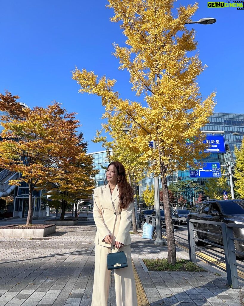 Kim Jung-eun Instagram - 단풍 예쁜 거리에서🍁🍂🌾우리 남순이 찾으러..🥹