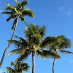 Kim Min-gyu Instagram – Lovely Hawaii🤍