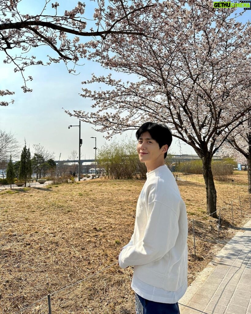 Kim Seon-ho Instagram - 봄 [: