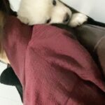 Kim So-hyun Instagram - 달강이🌕 꼬물꼬물 뭐하나 했더니 저 사이로 왔다✨