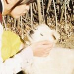 Kim So-hyun Instagram - 달강이.. 너 표정이 왜 그래? 🤨