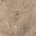 Kim So-hyun Instagram - 힘든 시간 보내왔을 수험생 여러분! 큰 긴장과 부담 없이 잘 치루길 기도할게요!! 그동안의 고생과 노력은 숫자로 증명될 수 없는 아주 값지고 소중한 것이니 끝나면 자신을 꼭 안아주세요!! 오늘 긴 밤이 되겠지만 푹 잘 수 있길..! 힘내세요 모두!!