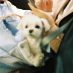 Kim So-hyun Instagram -