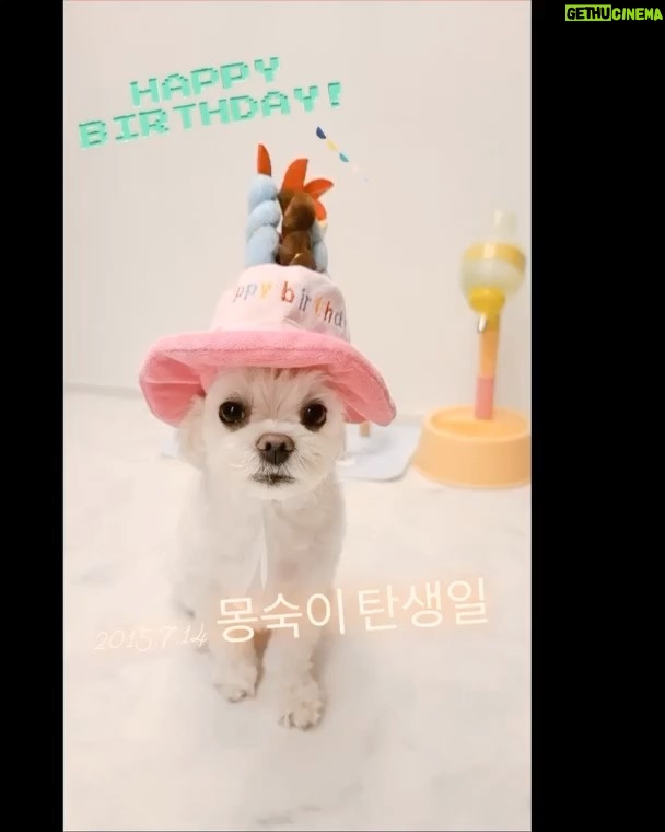 Kim So-hyun Instagram - 몽숙이 어제 생일이었어요!! 늦었지만 생일 축하해♥️😘