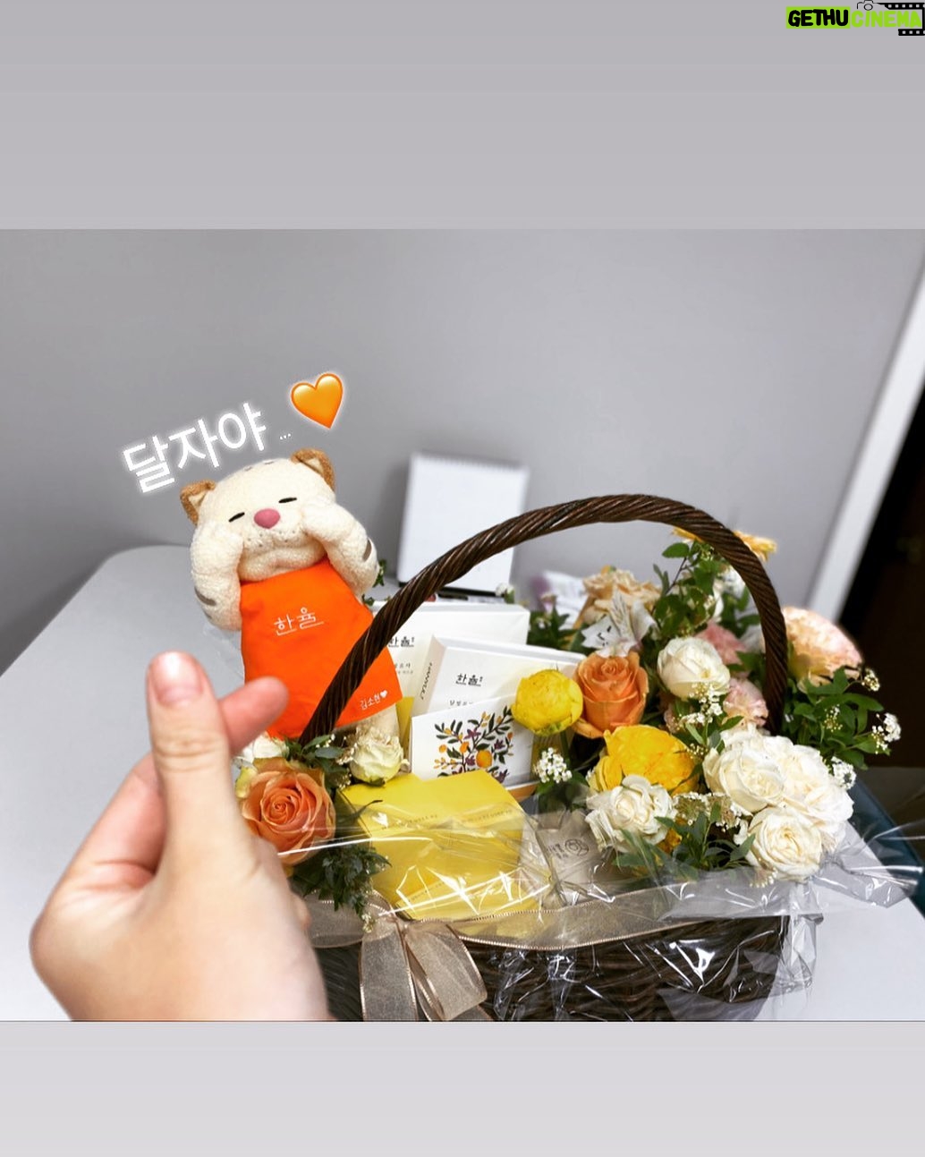 Kim So-hyun Instagram - 달자야.. 유자만큼 상큼한 달자야.. 올해도 달빛처럼 행복하자💛 #한율 #한율유자 #hanyul #감사합니다