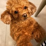 Kim Soo-hyun Instagram -