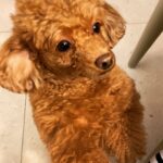Kim Soo-hyun Instagram -