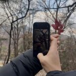 Kim Soo-hyun Instagram –