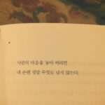 Kim Soy Instagram - I will judge you by your bookshelf