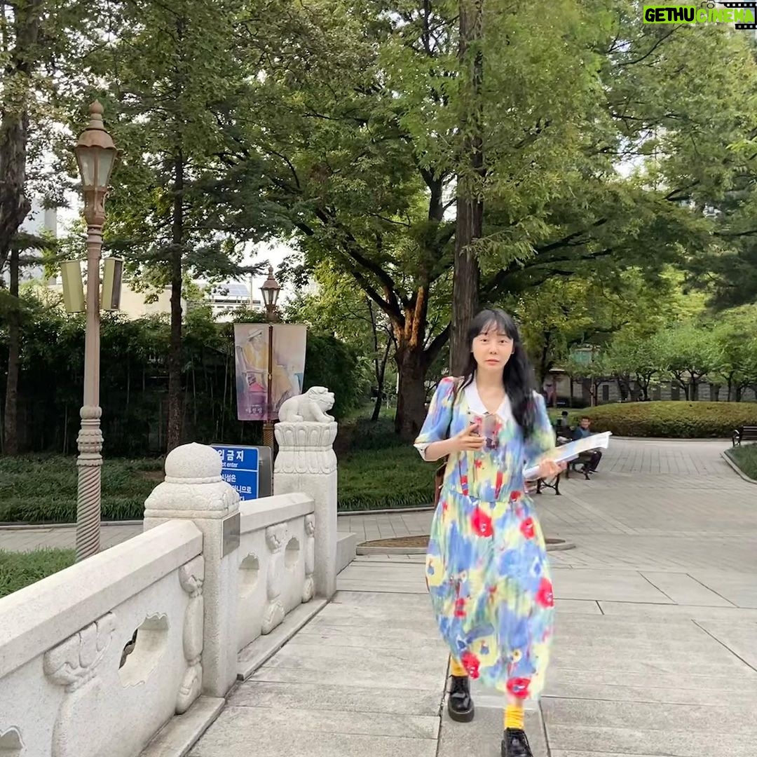 Kim Soy Instagram - 대구대구대구 🍂🍁🐈 박물관도 가고 책방도 가고 공원산책도 충분히 하고 관객과의 대화도 즐겁게 하고 빈티지 가게 구경도 하고 아! 해물찜도 먹고! 집순이는 한번 외출하면 누구보다 신나게 놀고 집에 와서 장렬히 뻗어버리지. 매우 행복한 미소를 지으며 이제 한동안 안 나가도 되겠다 뿌듯해하며. 오호호 대구독립영화전용관 오오극장