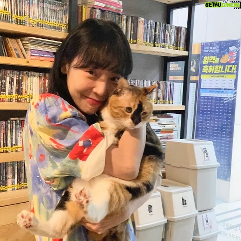 Kim Soy Instagram - 대구대구대구 🍂🍁🐈 박물관도 가고 책방도 가고 공원산책도 충분히 하고 관객과의 대화도 즐겁게 하고 빈티지 가게 구경도 하고 아! 해물찜도 먹고! 집순이는 한번 외출하면 누구보다 신나게 놀고 집에 와서 장렬히 뻗어버리지. 매우 행복한 미소를 지으며 이제 한동안 안 나가도 되겠다 뿌듯해하며. 오호호 대구독립영화전용관 오오극장
