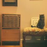 Kim Soy Instagram – 설맞이 우리 마고 선물! A lunar new year gift for my cat

하우스, 숨숨집, 캣타워, 스크래쳐를 하나로 합친 4 in 1 제품 
by @in_a_piece 🐈🐈‍⬛ 
목수 집사님이 직접 수제작 하시는 제품이라 커스텀도 가능해요.
마고가 잘 사용하고 있고
일단 나무 색깔과 모양이 예뻐서 집사도 무척 만족하고 있습니다 :-)

마고도 새해 복 많이 받자아아