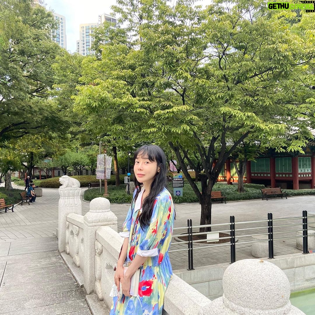 Kim Soy Instagram - 대구대구대구 🍂🍁🐈 박물관도 가고 책방도 가고 공원산책도 충분히 하고 관객과의 대화도 즐겁게 하고 빈티지 가게 구경도 하고 아! 해물찜도 먹고! 집순이는 한번 외출하면 누구보다 신나게 놀고 집에 와서 장렬히 뻗어버리지. 매우 행복한 미소를 지으며 이제 한동안 안 나가도 되겠다 뿌듯해하며. 오호호 대구독립영화전용관 오오극장