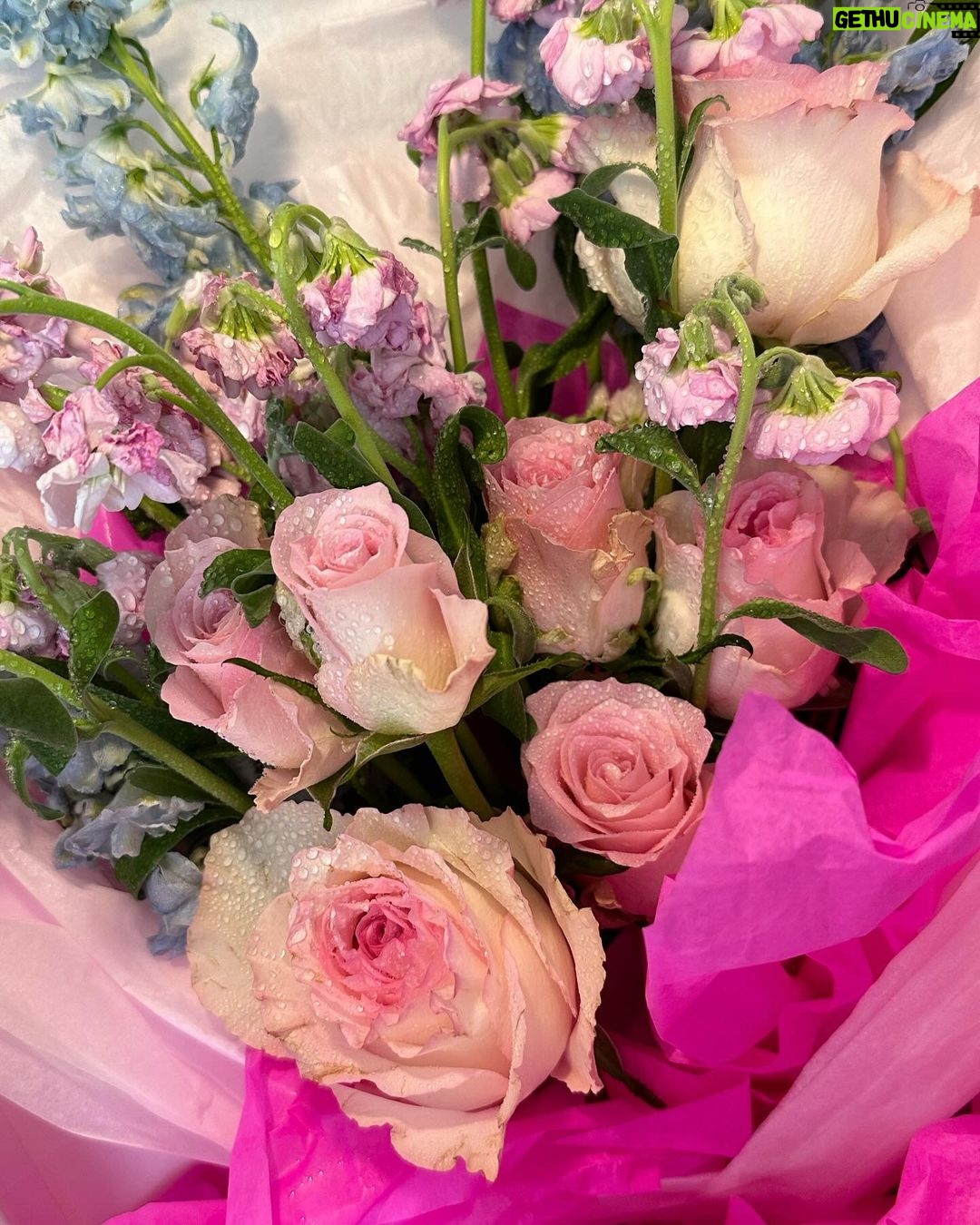 Kim Ye-won Instagram - 어디까지 놀래킬거야 :)💜 조금 늦은 사진이에요. 너무 아름다워서 깜짝 놀란 케이크와 정성어린 마음들이 담긴 선물들, 편지들, 케이스를 빼다가 조금 지워졌지만 ‘별보다 빛나는 오늘, 그보다 빛나는 예원’ 문구도 잘 전달 받았어요. 더욱 그런 사람이 될수 있도록 노력할게~ 늘 곁에 있어주는 나의 따뜻한 사람들 예브리원 많이 사랑하고 고마워요, 🌸💫💜 #20231211 #내사랑예브리원 🎂✨
