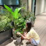 Kim Ye-won Instagram - random comet in yellow 2 :)☄️🤍