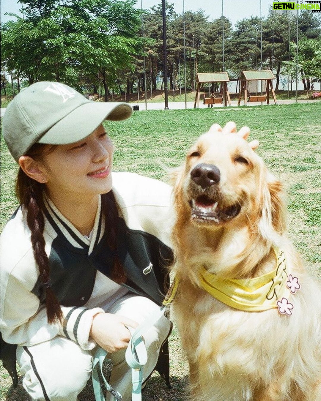 Kim Yi-kyeong Instagram - 조카 안녕 또 만나자 🐶
