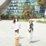 Kim Yi-kyeong Instagram - 조카 안녕 또 만나자 🐶