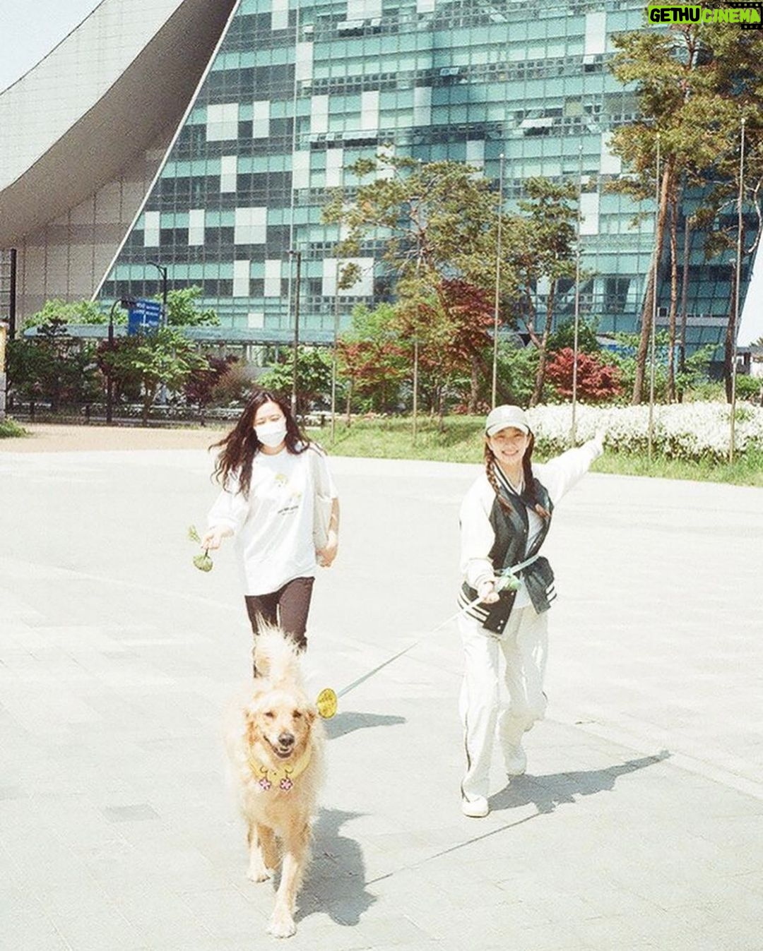 Kim Yi-kyeong Instagram - 조카 안녕 또 만나자 🐶