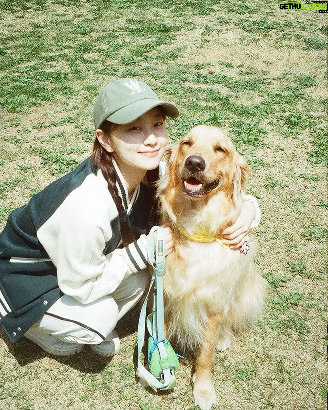 Kim Yi-kyeong Instagram - 조카 안녕 또 만나자 🐶